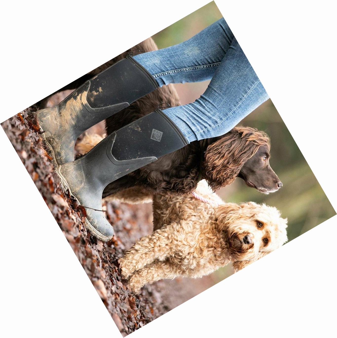 Women's Muck Arctic Sport II Tall Boots Black | UPKRNC-350